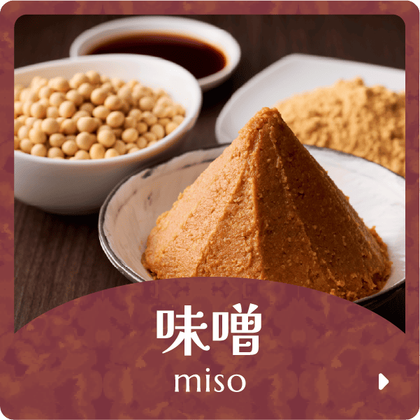味噌 miso