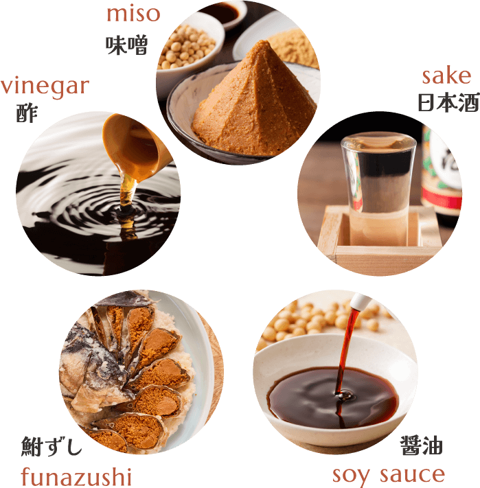 酢　味噌　鮒ずし　日本酒　醤油　画像